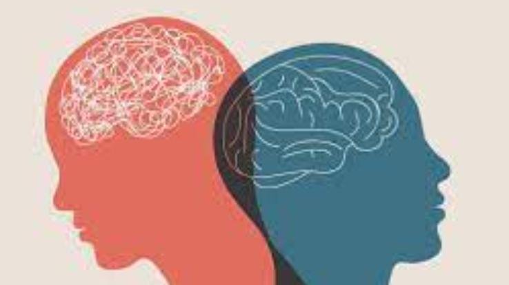 Session on mental health organized in Shoolini University