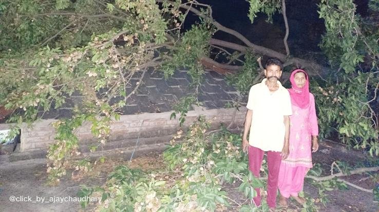  Tree fell on house due to storm in Samela, slate broken and cracks in new rooms