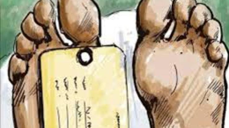 41 year old man dies after falling from tree