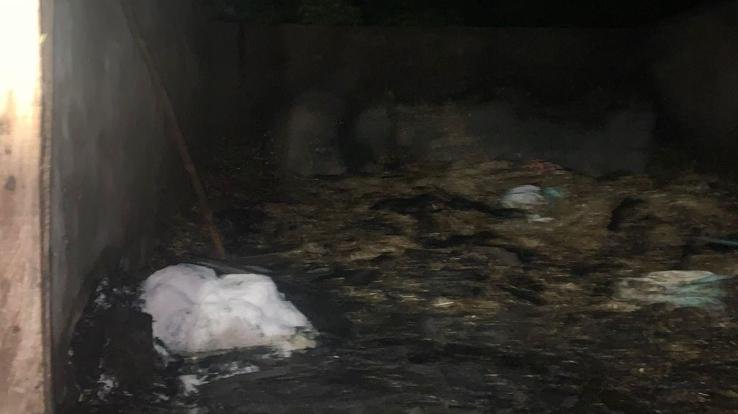 Fire in cattle shelter in Dhaliara Surajpur, loss of lakhs