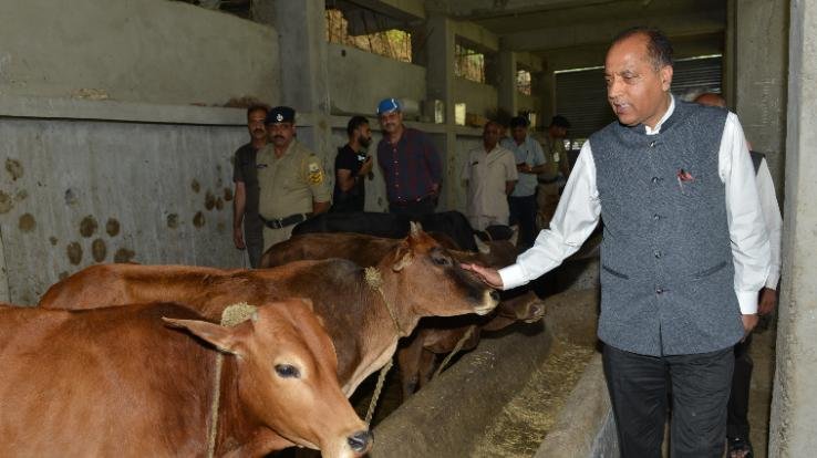 CM visits Madhav Srishti Multidisciplinary Institute