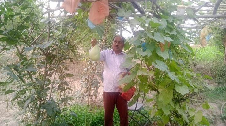 Kuldeep Singh Guleria, manager of Nag Mandir Kariyada, became a successful farmer