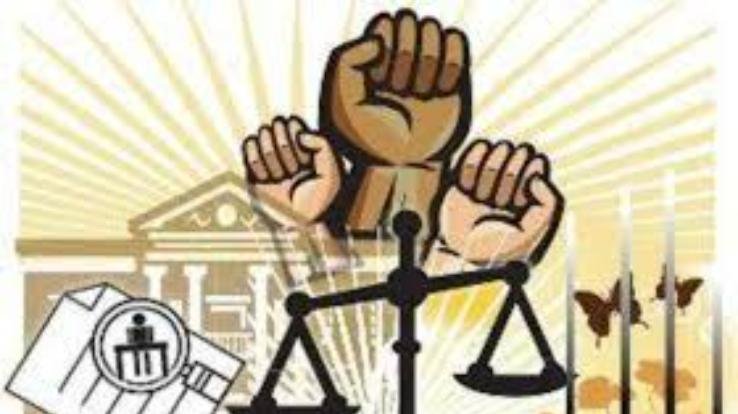 Measurement Department disposed of 14 cases