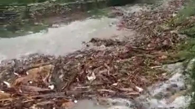 Heavy damage due to cloudburst in Gadsa Valley
