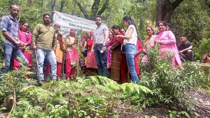NABARD celebrated 41st foundation day by planting trees