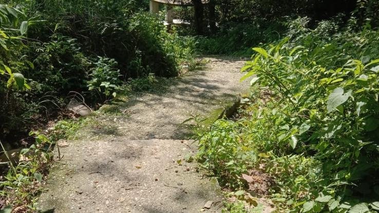 Panchayat spent lakhs without making a road, disclosed in RTI