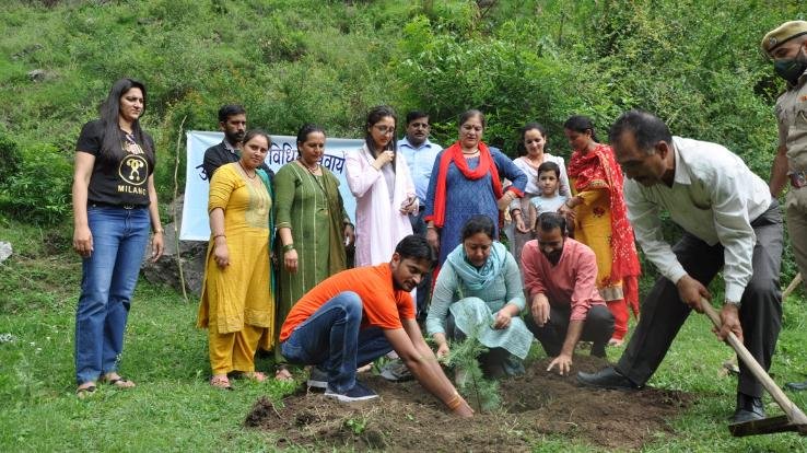Plantation program organized in Gram Panchayat Saparun