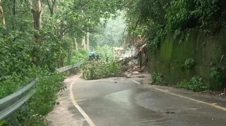Torrential rains disrupted life in Kangra