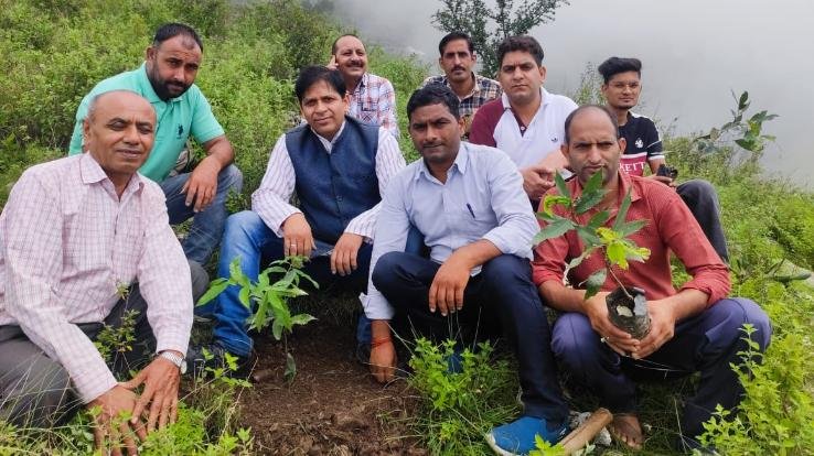  Organized a plantation program on the Amrit festival of independence