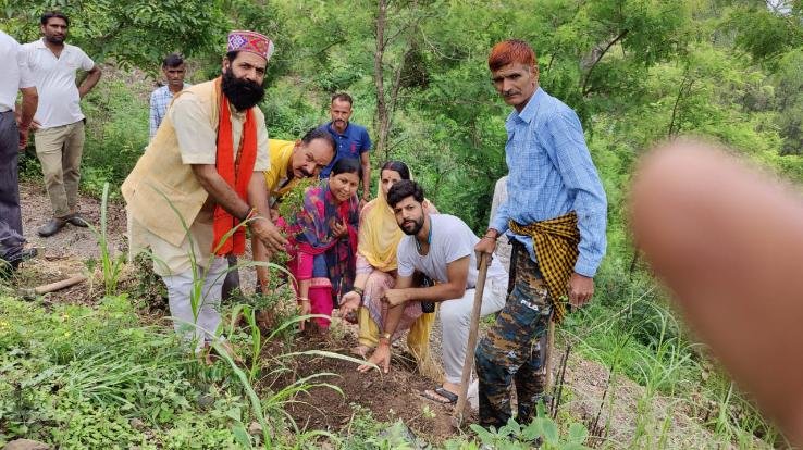 Devendra Sharma paid tribute to his wife by planting 101 medicinal plants