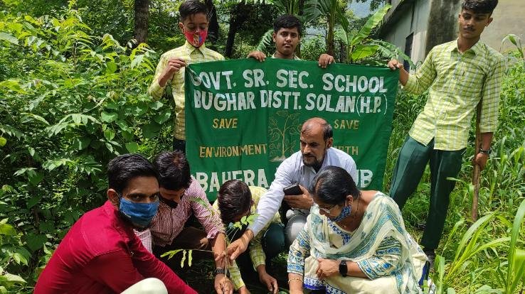 Plants were rapped in Budhaar School with the help of Eco Club