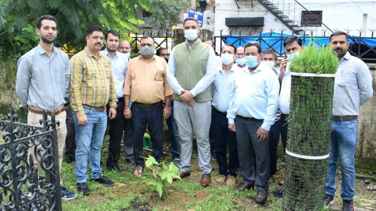 Plantation is necessary for environmental balance - SDM