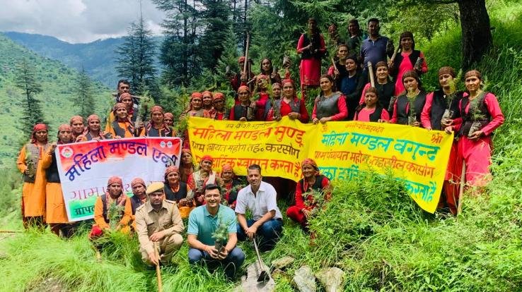 BDO planted saplings in Gram Panchayat Mahog under Hariyali Mahotsav