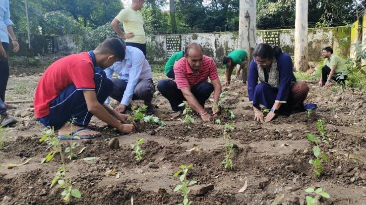 Department of AYUSH provided Ayurvedic plants to Kendriya Vidyalaya Naleti