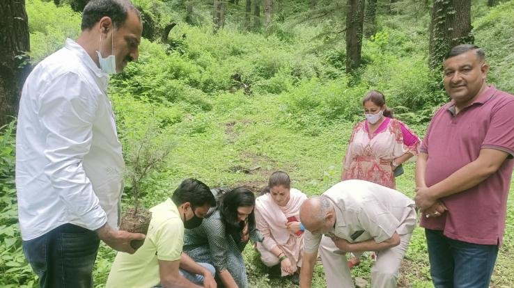 Plantation is necessary to save the environment: Khanna