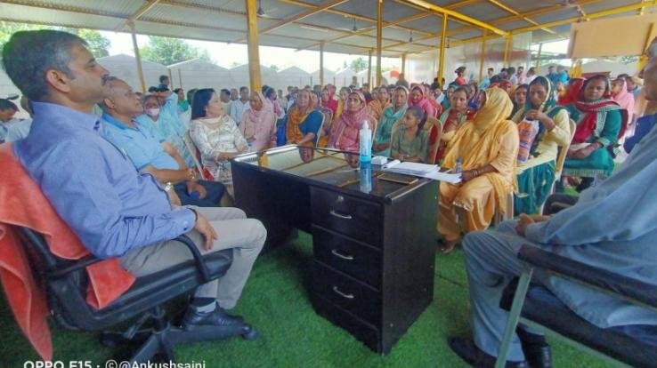 Chief Minister Jai Ram Thakur's government will repeat Kajal in Himachal