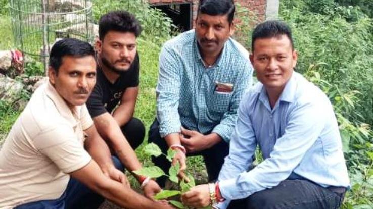 Congressmen planted saplings in Shiv Mandir Baga