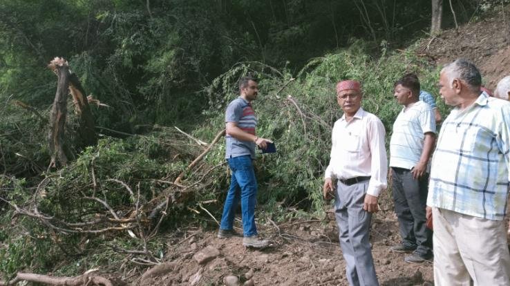 Baddi: Lumberdar accused the contractor of the company building the National Highway for breaking trees
