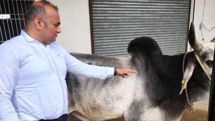 Government and society should come forward to prevent lumpy virus- Sumit Singla