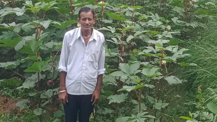 Earned lakhs by growing vegetables - Kamal Chand