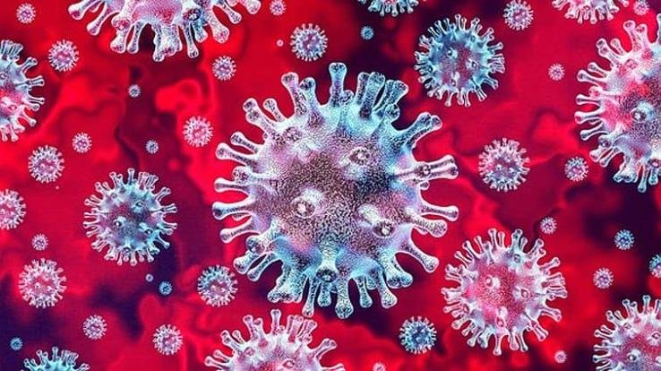 The war against Corona continues in India