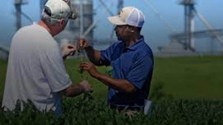 Promotion gift to 112 agricultural extension officers