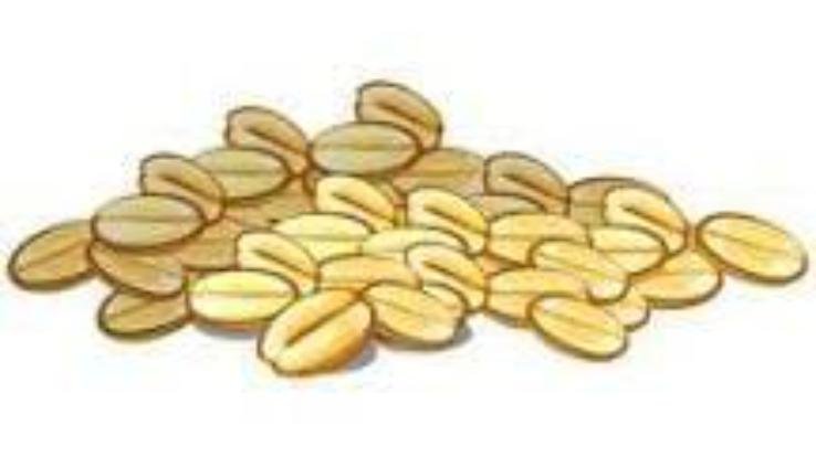 Kangra: One person died after consuming mustard oil mixed with Argemone seeds.