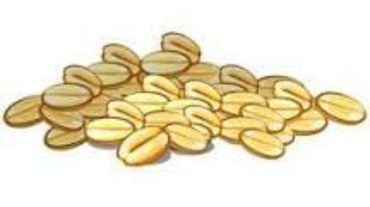 One died after consuming mustard oil mixed with argemone seeds