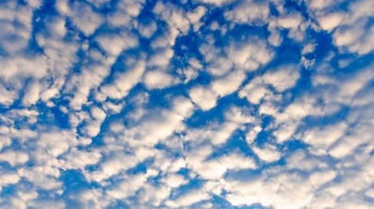 Shimla: The Meteorological Department has predicted clear weather till November 25.