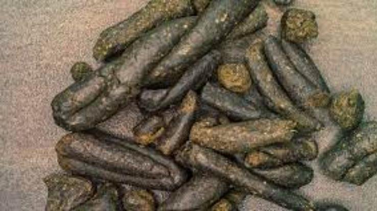 Kangra: Person arrested with 1.5 kg charas in Baijnath