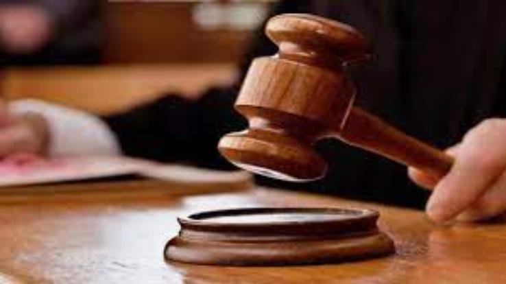 Shimla: High Court B.Ed. Ban on giving JBT Tet to the candidates