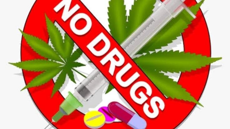 Nupur: Himachal Yuva Shakti Sangathan started campaign against drugs