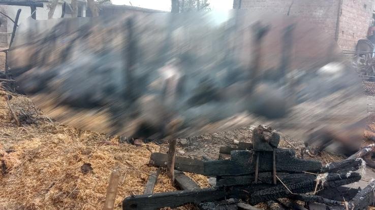 Fire caused by electric short circuit, 24 buffaloes burnt to ashes