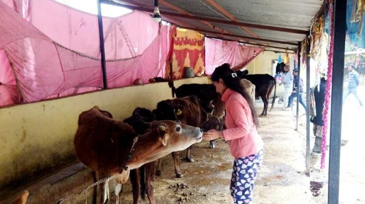 Sarva Ekta Janmanch and Nav Chetna Sanstha jointly celebrated New Year at Gaudham