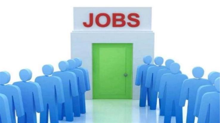 Employment opportunities for youth, campus interview held for 150 posts