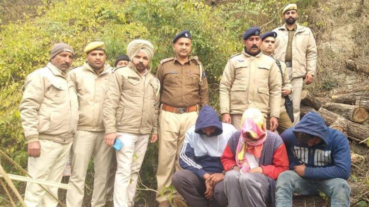 Dehra: In the dark of night in the forest of Jandor, the police and the forest department team got involved in cutting down the trees of Khair.
