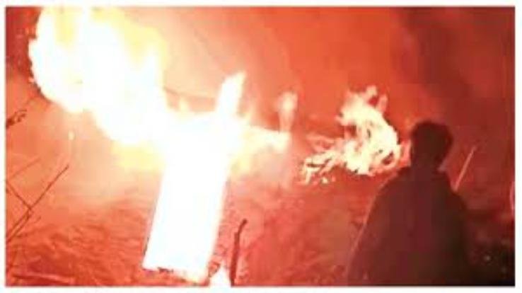 Animal shed burnt to ashes in Kolhapur