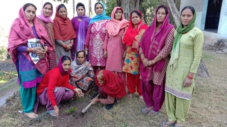 पेड़ पौधों से सुधरता है पर्यावरण :