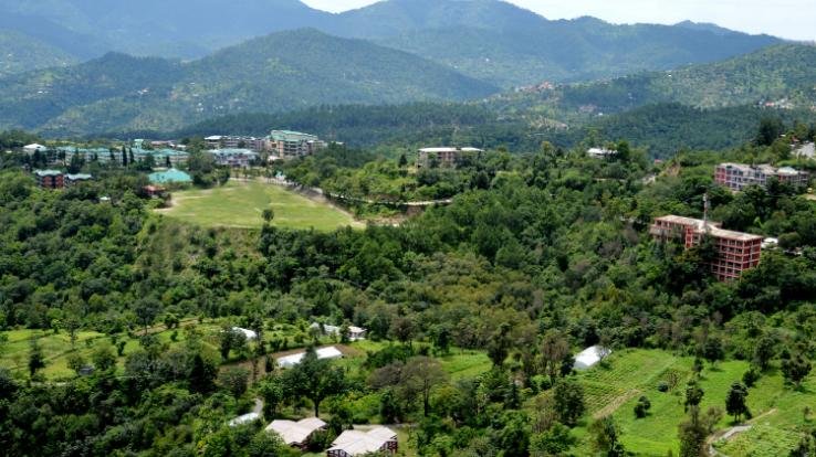 नौणी विवि में 2 जनवरी से शुरू होंगी फलदार पौधों की बिक्री  