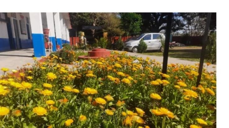 Spokesperson Tilak Raj running brush on the walls of Nandrul School