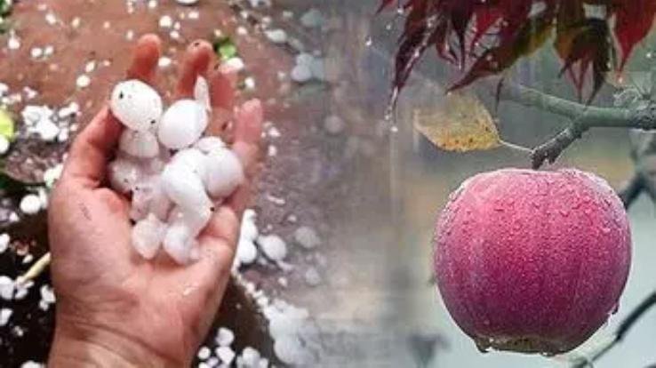 Meteorological- department- issued -orange -alert -in -the -state