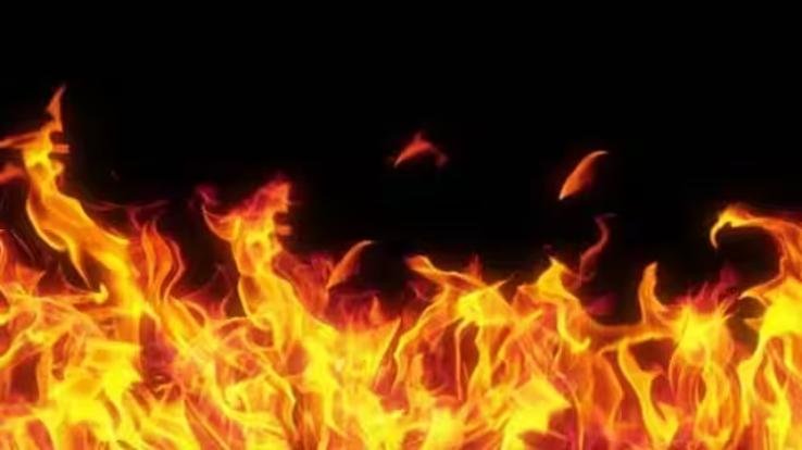 Gaushala along with slum gutted in fire