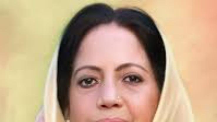 Shimla: MP Pratibha expressed grief over the horrific fire incident in Banjar 111 144