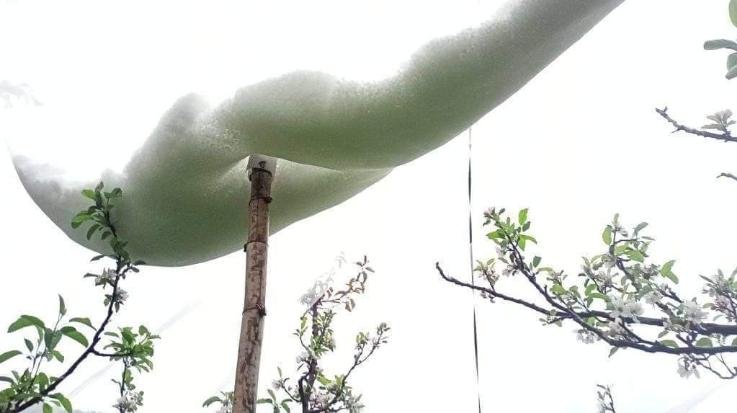  Damage to apple plants due to hail, government should give compensation: Rathore