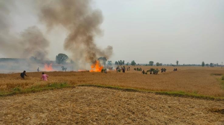  Indora: Fire in dry wheat of 8 farmers, loss of lakhs