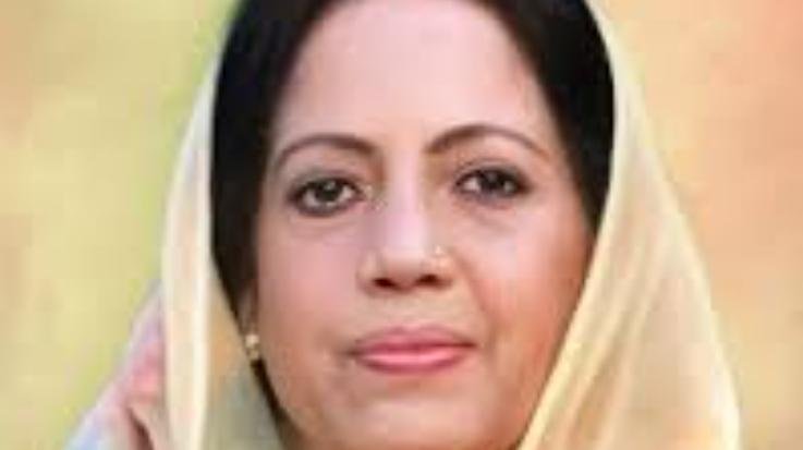 Shimla: Seeing the defeat in the municipal elections, the BJP is making baseless allegations against the Congress: Pratibha Singh