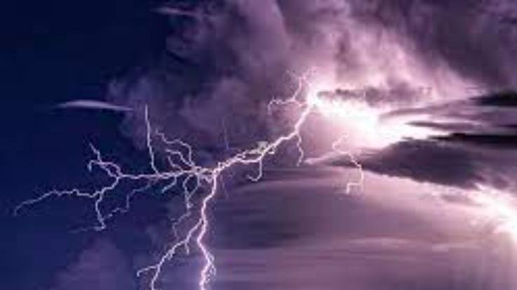 Kangra: Goats died due to lightning 111