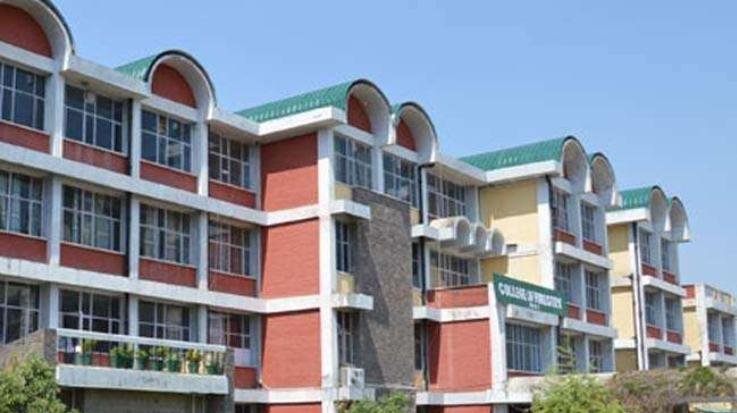  Solan: Admission process begins for Horticulture, Forestry programs at Nauni University