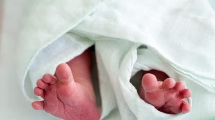 Shimla: Dead body of a newborn found in a garbage dump in Rohru.1111