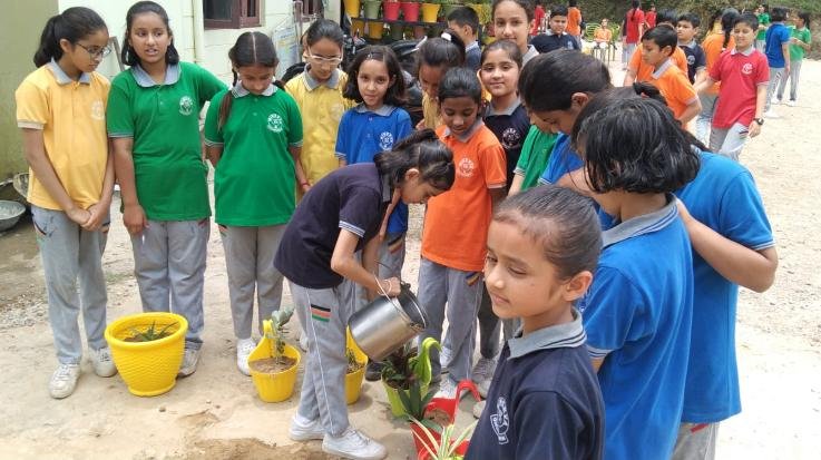 Ghumarwin: In Minerva Pschool Ghumarwin, children planted saplings in the school premises